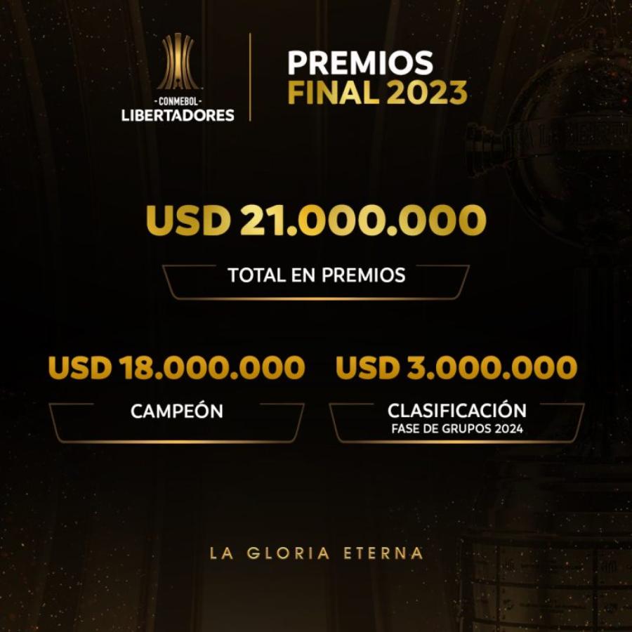 Imagen Los números en premios oficiales de la Libertadores.