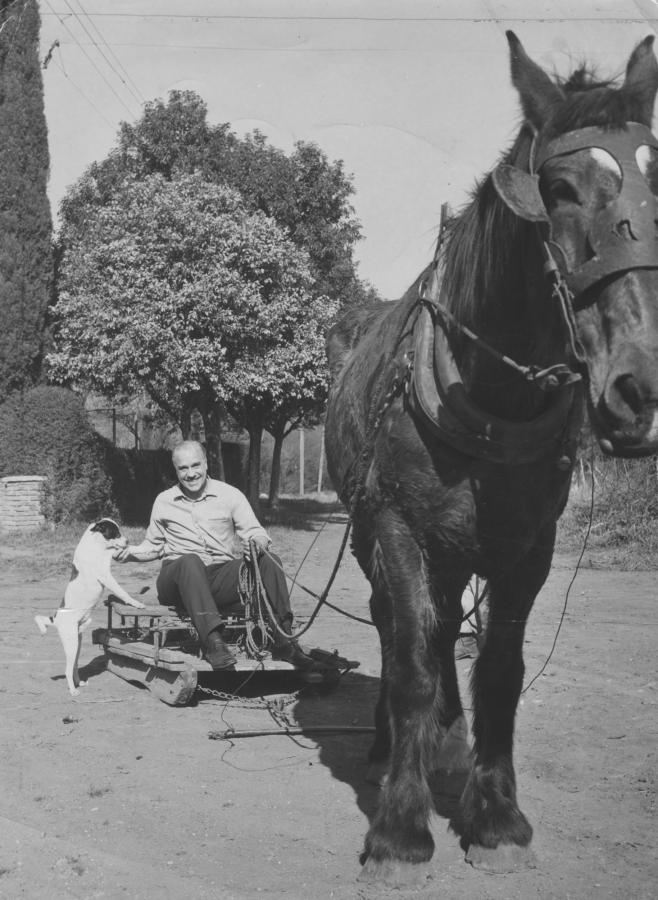 "Antes hasta tenía un par de caballos de andar y me mandaba algunos galopes... Ahora voy a tener que esperar un tiempo antes de volver a montar... "
