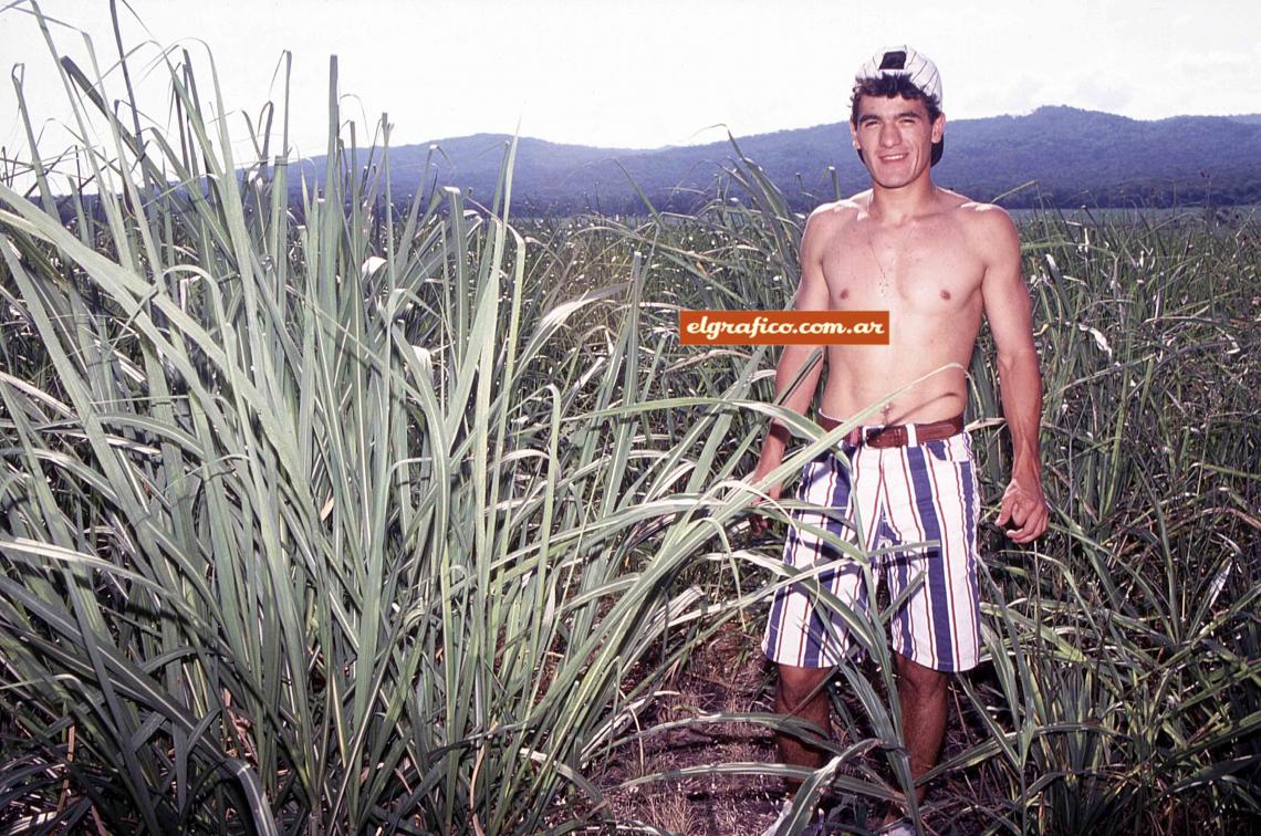 Imagen En medio de la caña de azúcar, la principal plantación de la región, y con las montañas detrás.