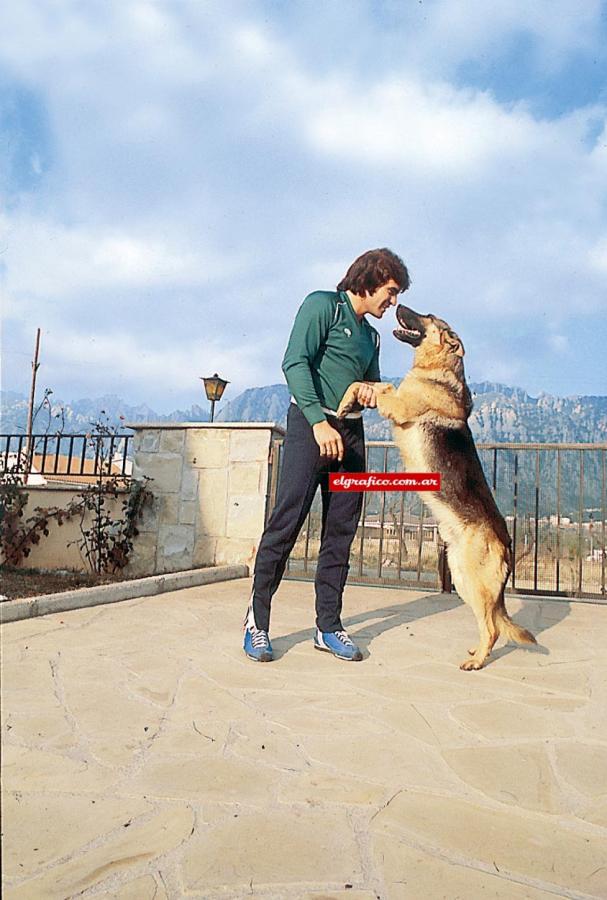 En su casa de Barcelona, jugando con uno de los 18 perros que convivían con él.