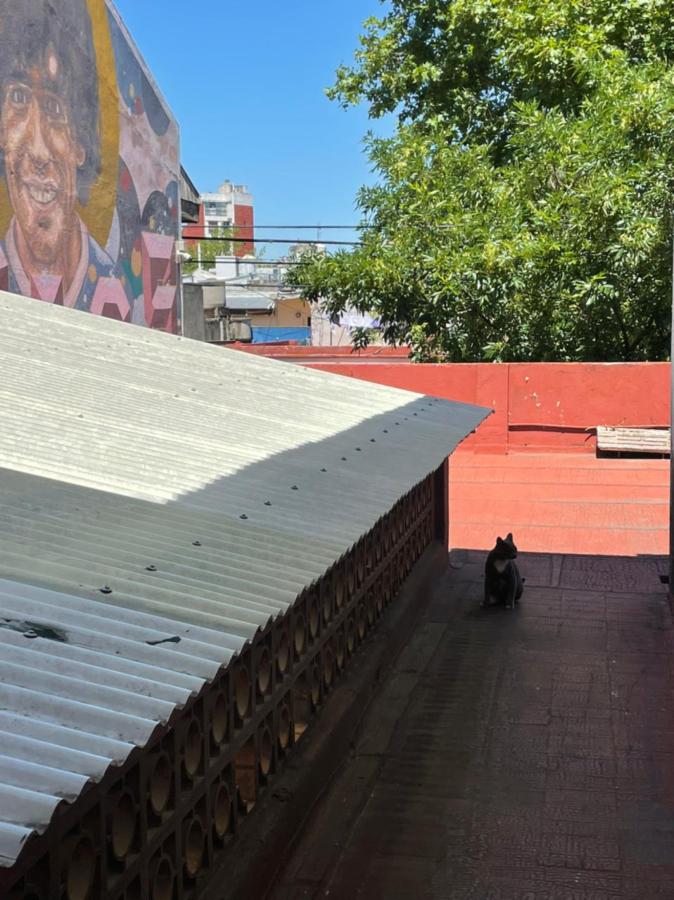 Un gato dice presente en la terraza cada vez que alguien va a visitar el museo. Atrás, el imponente mural