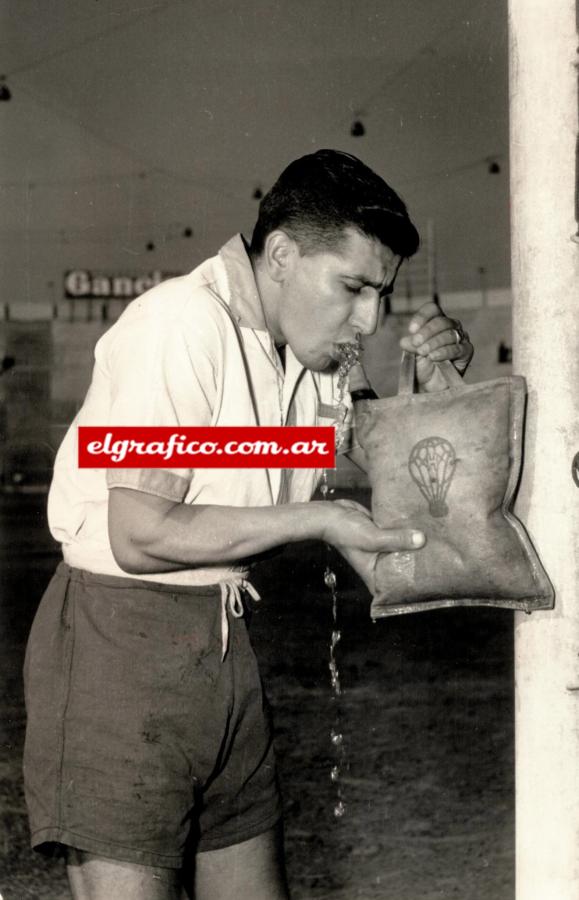 Imagen La serenidad y la sencillez que Coco seguirá manteniendo por toda la vida... "Pero vos sabés, Tucho, que para mí lo más grande siempre será Pedernera''. En eso está reflejado el fútbol que jugó... 