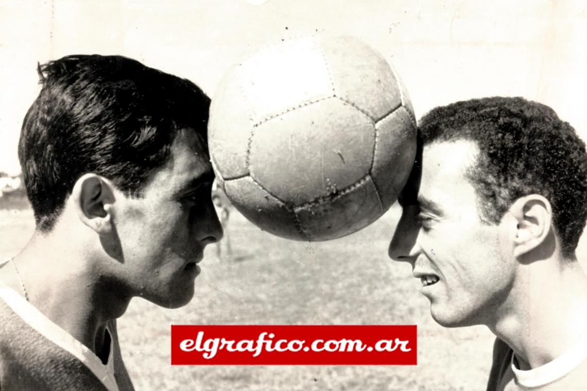 Pavoni y Avallay.