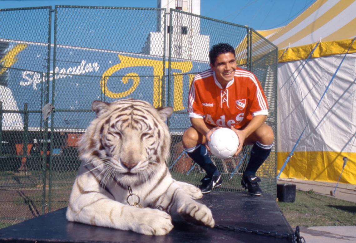 Imagen En Independiente, Fuertes pasó más tiempo posando con el tigre que jugando.