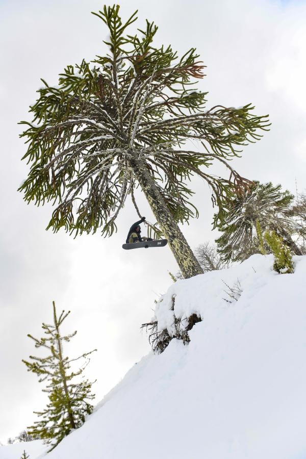 Imagen El team armó una rampa y Fer Natalucci la voló al lado de una araucaria milenaria.