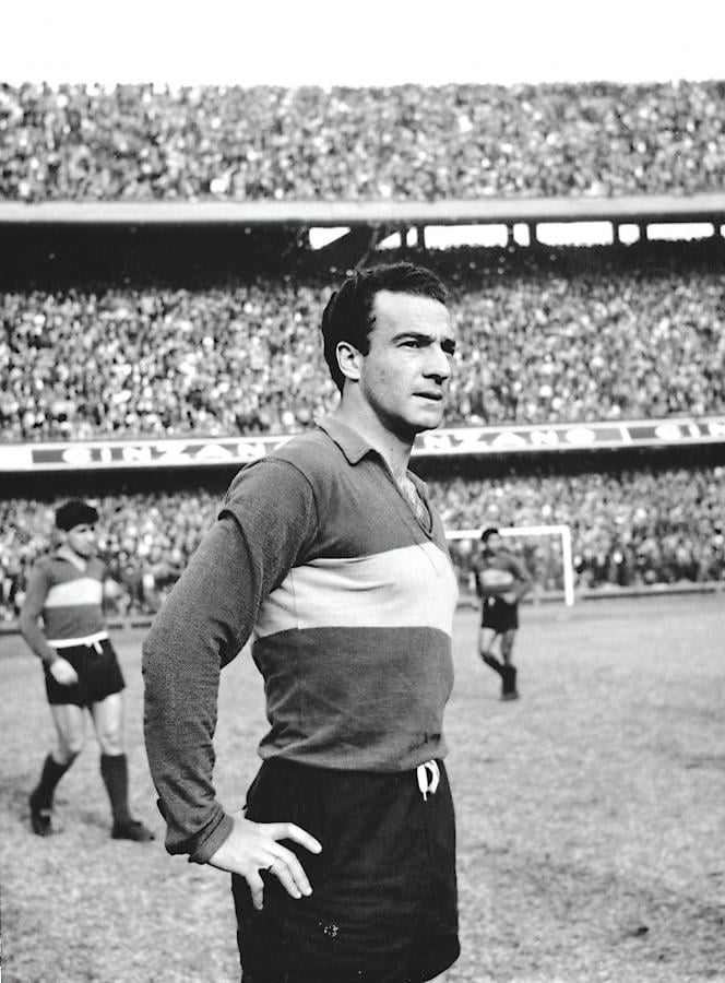 Rimaba Con Brillo El Gran Ernesto Grillo El Grafico