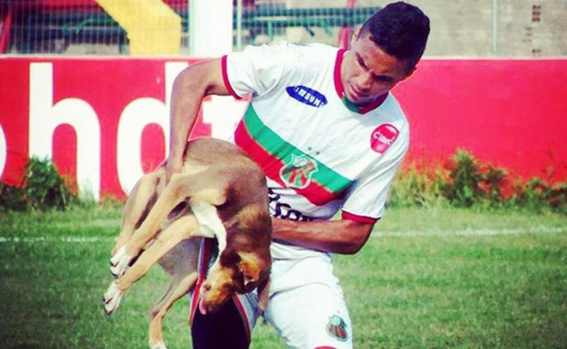 Imagen