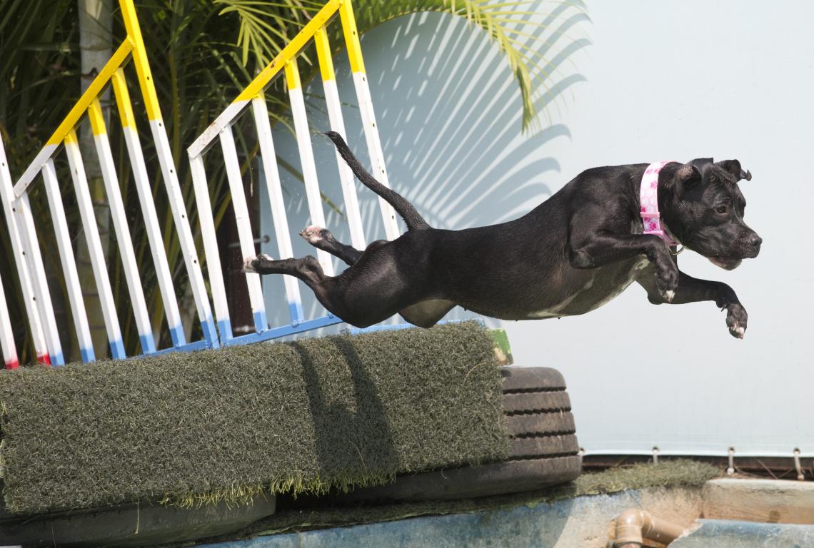 Imagen Zaia, ganadora en salto en largo.