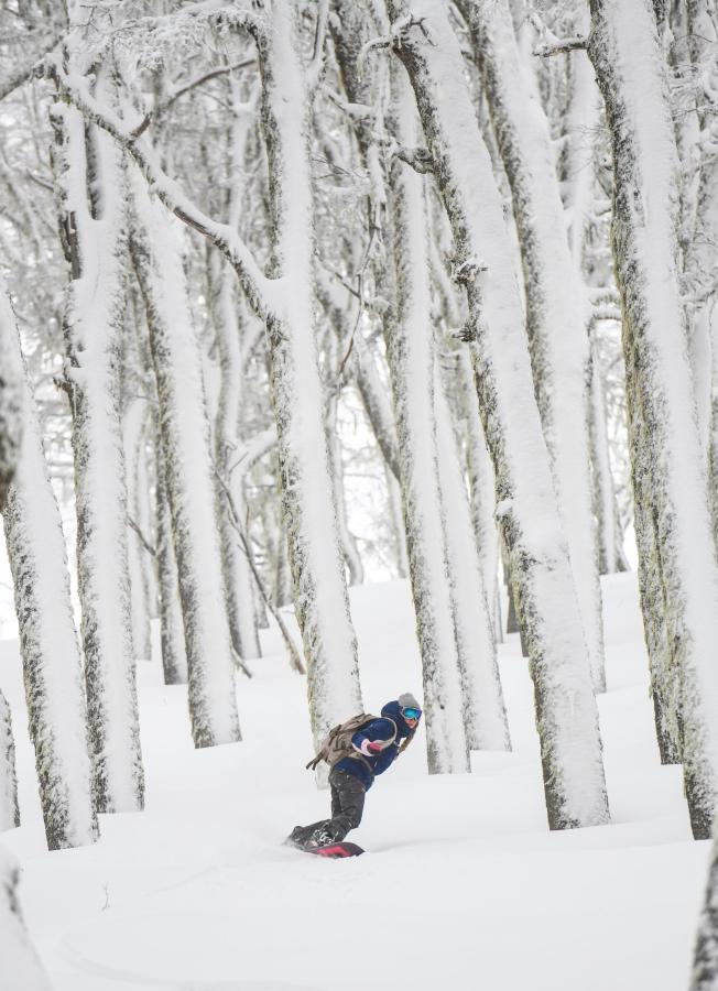 Imagen Lila Sanz, del team Roxy, metió una gran bajada en el bosque de araucarias en el Cerro Colorado.