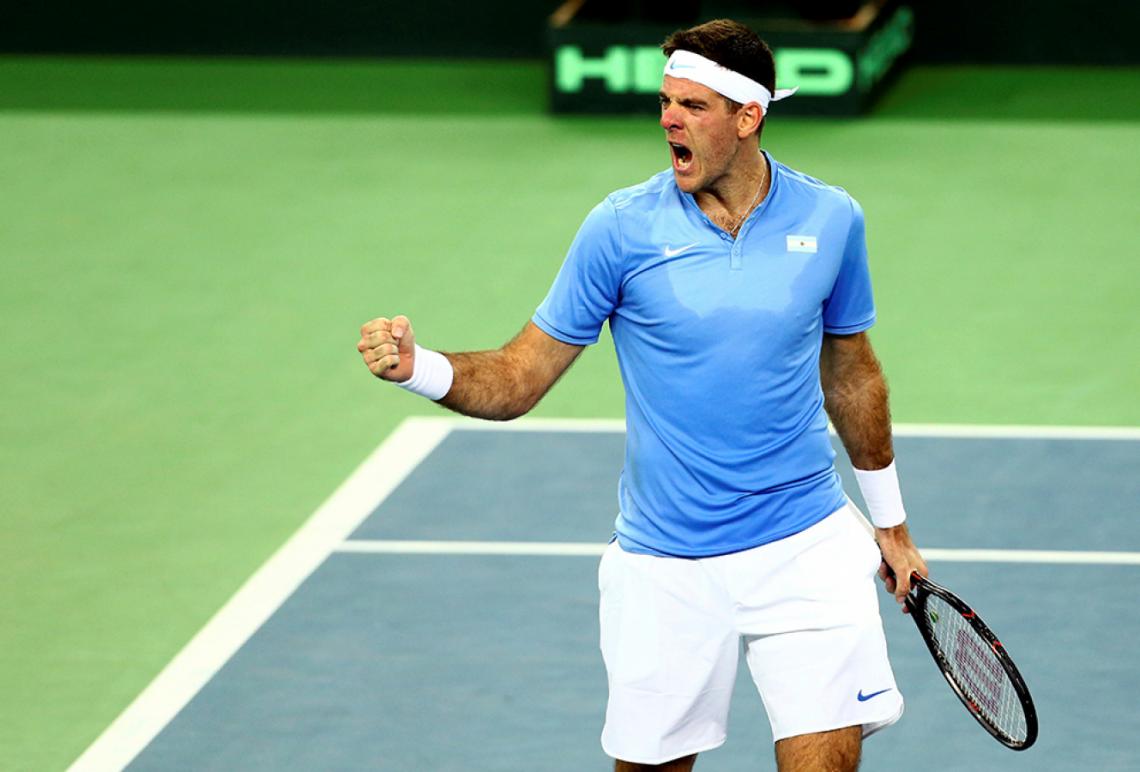 Imagen Del Potro festejando