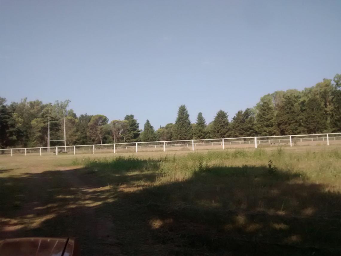 Imagen En las canchas donde jugó Diego, quedó un campito y canchas de rugby. 