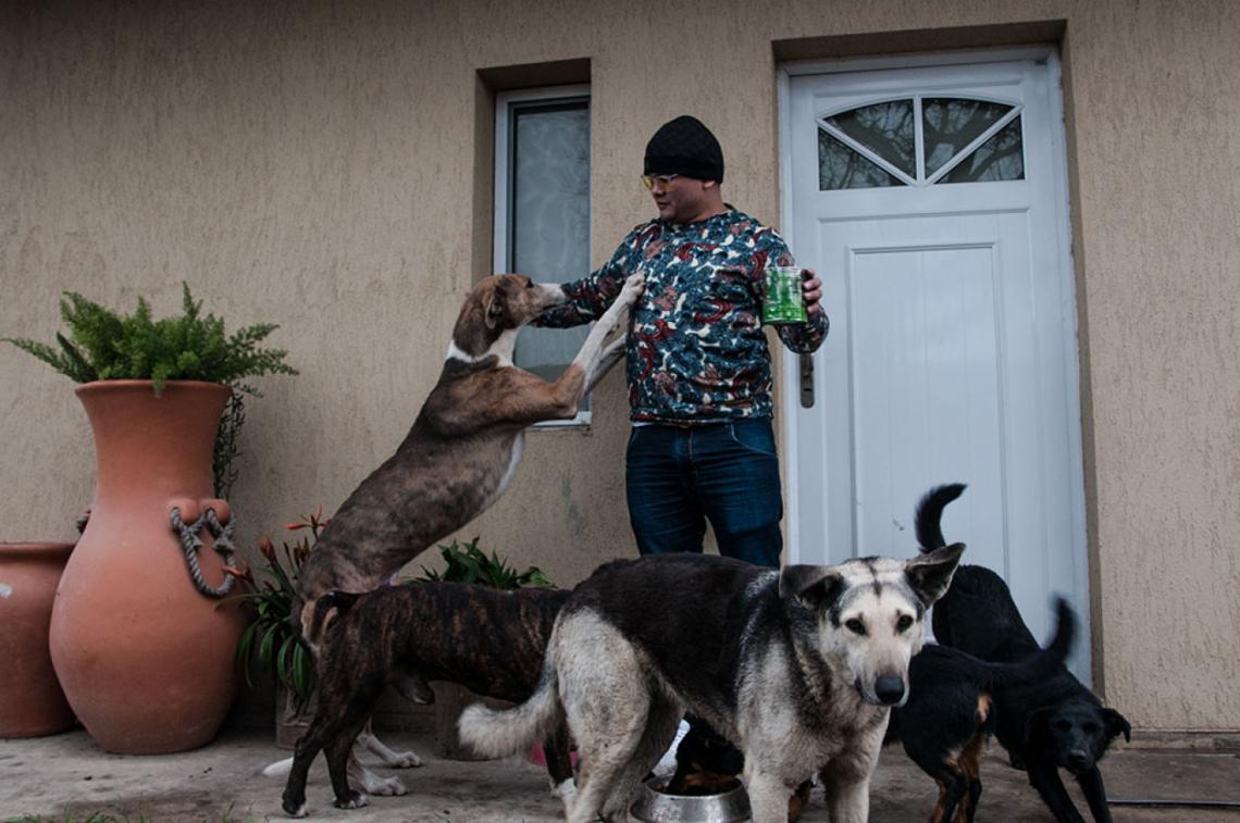 El chino Maidana, hoy, alimentando a sus ocho perros. Disfruta de la buena vida que se ganó con guapeza arriba del ring.