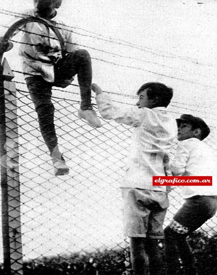 Imagen Ni el alambrado olímpico detiene a los pibes.