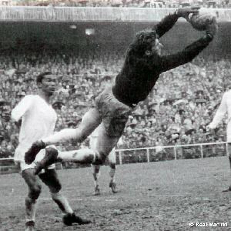 Imagen Rogelio Domínguez