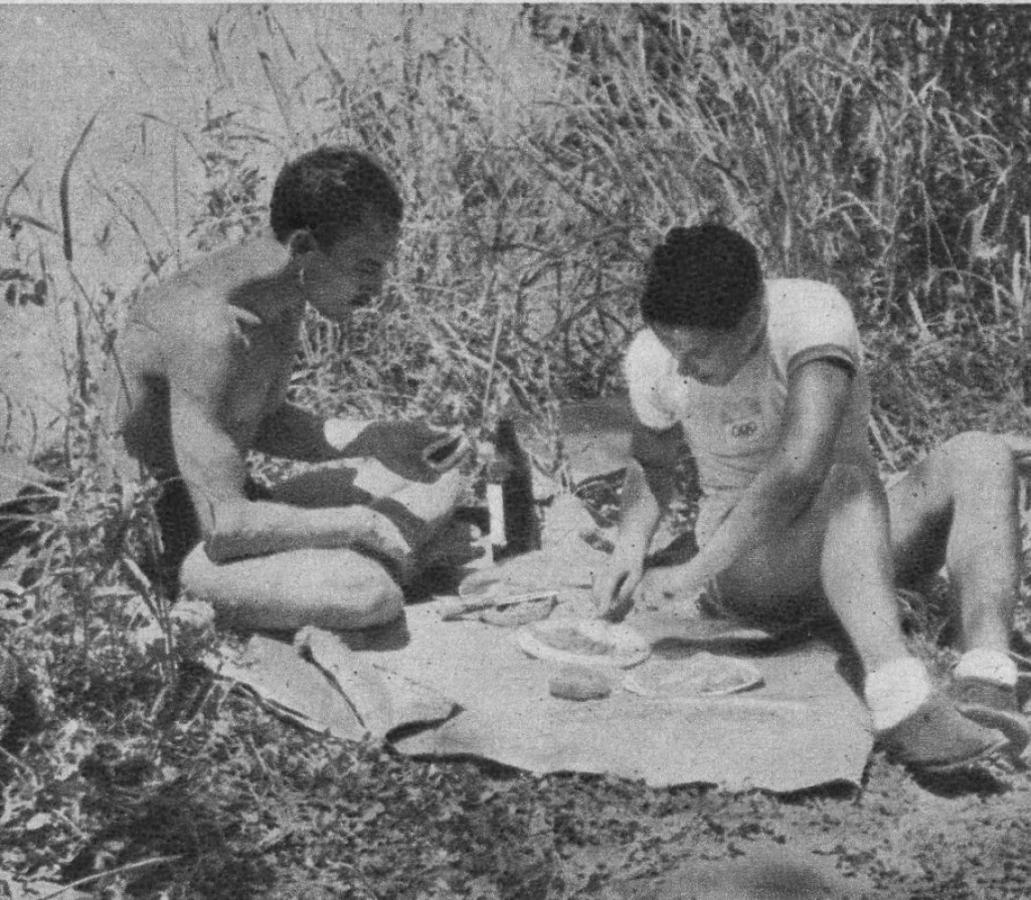 Imagen Atender las exigencias del estómago, pero sin descuidar la digestión. Sólo se debe entrar en el agua tres horas después de haber comido. Quienes no lo hacen corren un riesgo gravísimo. Esa despreocupación motivó muchas tragedias.