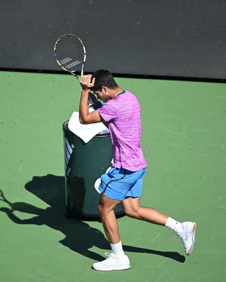 Imagen Carlos Alcaraz superó a Zverev tras la suspensión del partido por la invasión de abejas. Foto: Carlos Alcaraz