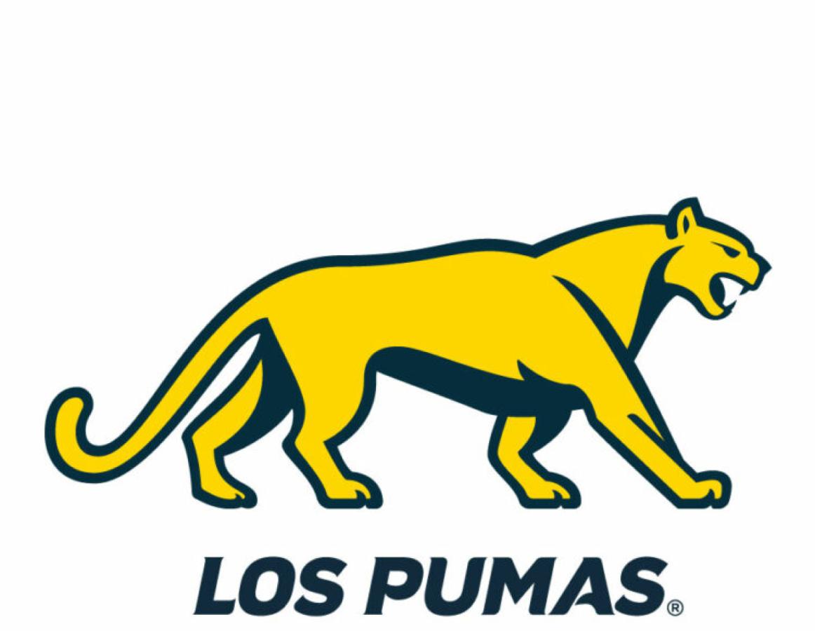La sorprendente camiseta que presentaron Los Pumas El Gráfico