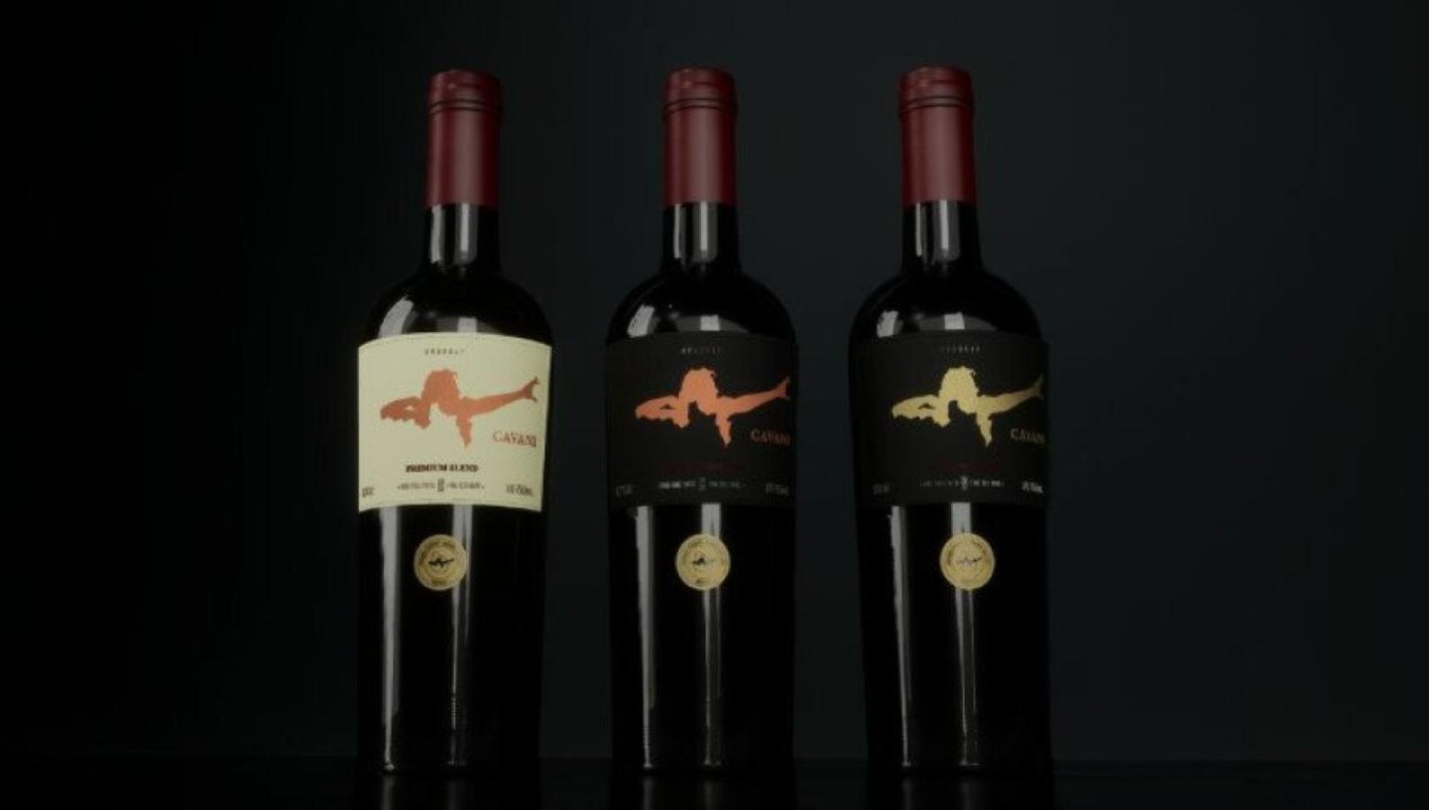 Imagen El vino de Cavani, en sus tres presentaciones.