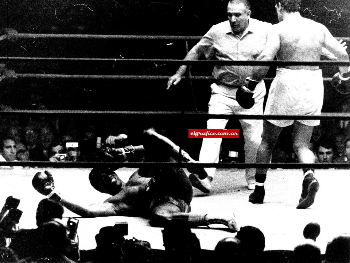 Imagen Bonavena se dirige al rincón neutral. Avendaño inicia la cuenta. Carr lleva su mano a la cabeza; está bajo los efectos de la conmoción. Las tribunas desatan la expectativa, la tensión contenida... El ring side comienza a ponerse de pie... La emoción del nocaut inunda al Luna Park.