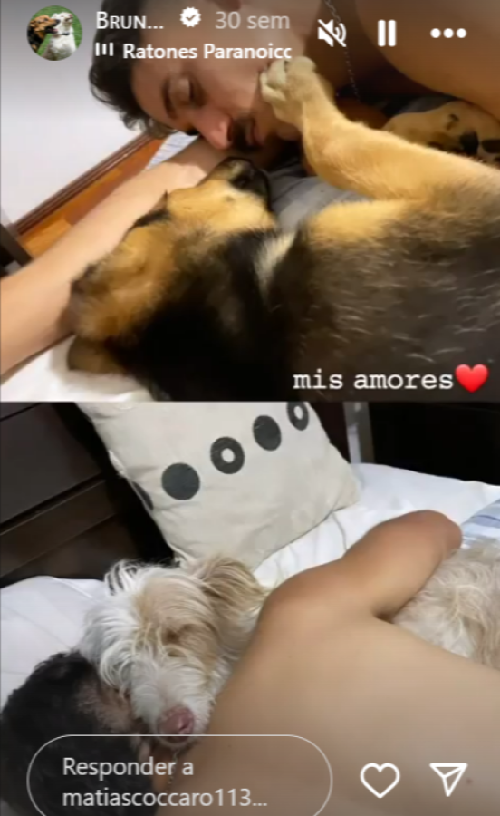 Imagen Matías Cóccaro y el profundo amor por sus mascotas.