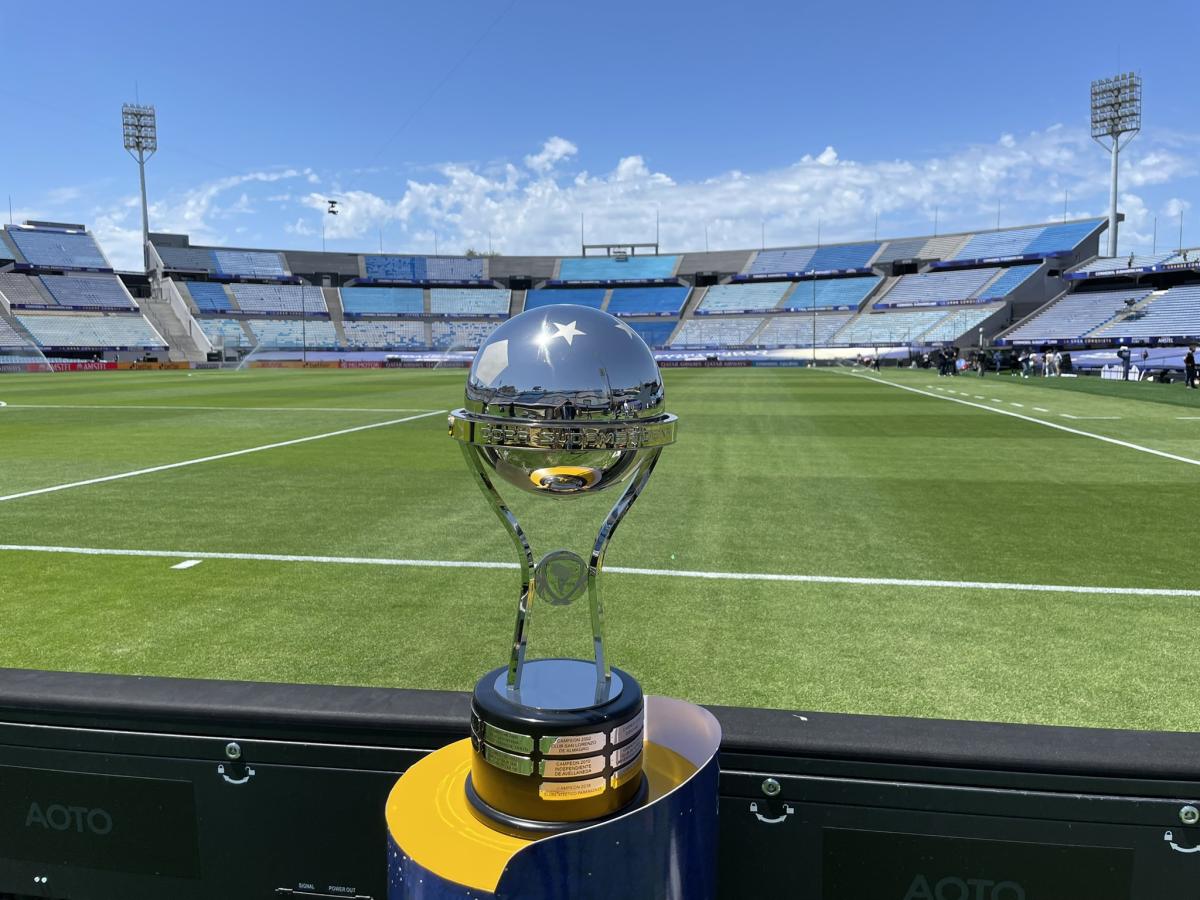 Copa Sudamericana 2024 tabla de posiciones y clasificados * Radio DoGo