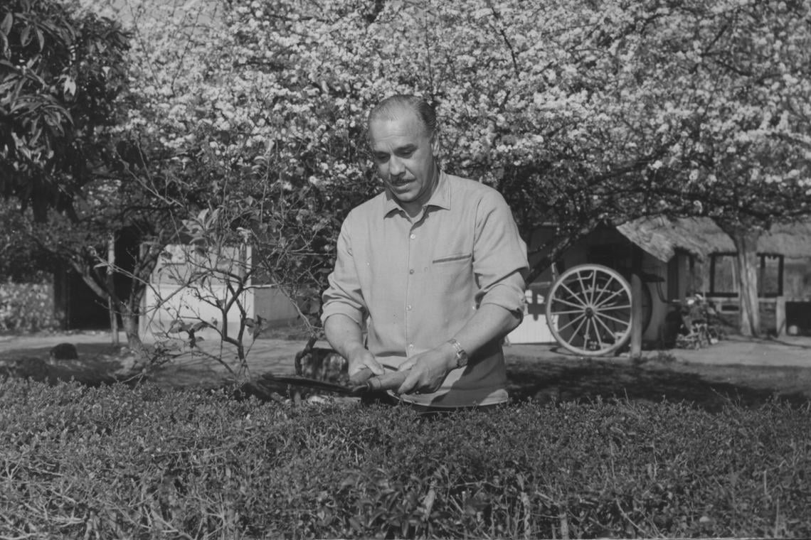 "Tengo el parque con flores y plantas, que ciudo personalmente"