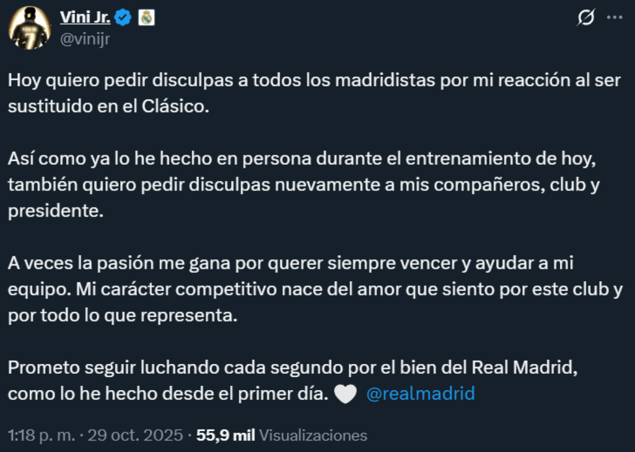 Imagen El pedido de disculpas de Vini Jr. sin nombrar al DT.