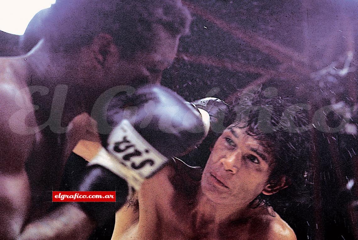 Imagen CARLOS MONZON BOX 1987 / 35 AÑOS