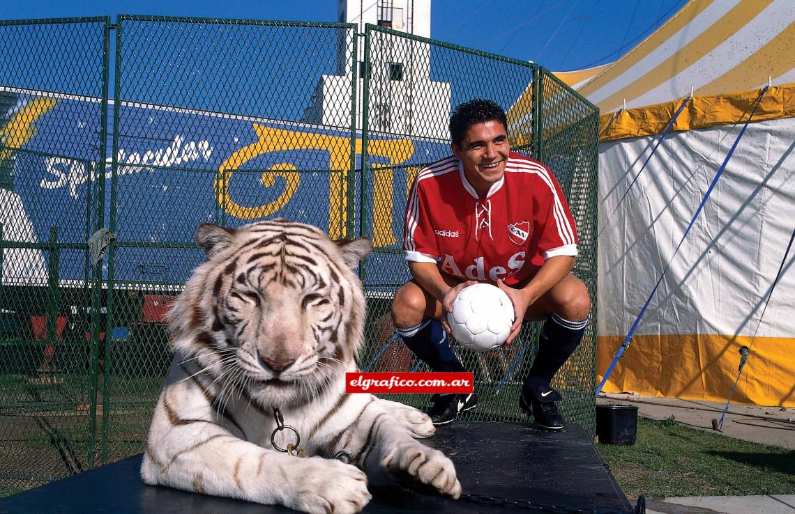 Imagen Un felino en el área. El Gráfico propuso y Bichi dispuso, con el tigre del circo Tihany.