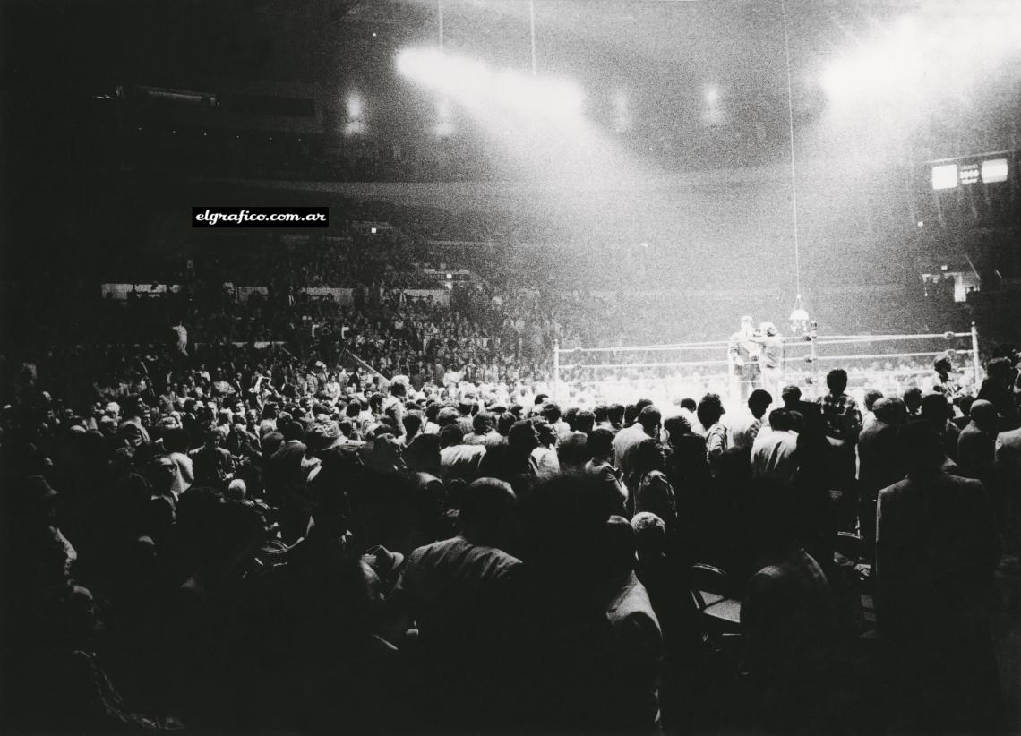 Imagen Madison Square Garden, escenario ideal de grandes veladas de boxeo.