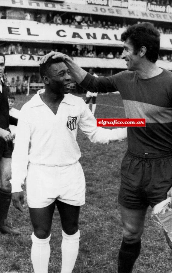 Imagen PELÉ. “En el 63 jugué mi primera Copa Libertadores, llegamos a la final con el Santos, cuando estaba en la época de oro. En el partido de vuelta (la primera final la ganó el Santos 3-2 en Brasil) a Pelé lo agarramos con Orlando, y cuando en una oportunidad se iba a meter al área nos tiramos a los pies y le arrancamos el botín…Pareció que cambiaba de color… Blanco se puso…Pero ese negro es un fenómeno; el tipo más difícil que me tocó enfrentar”.