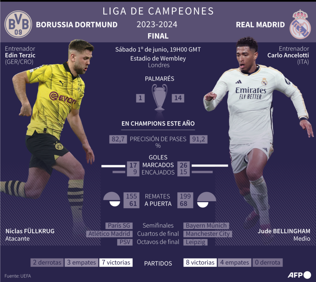 Imagen Los detalles de la gran final (AFP)