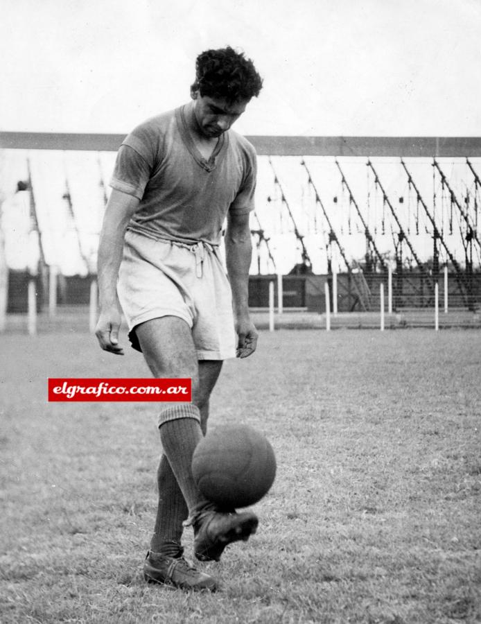 Rinaldo Fioramonte Martino.