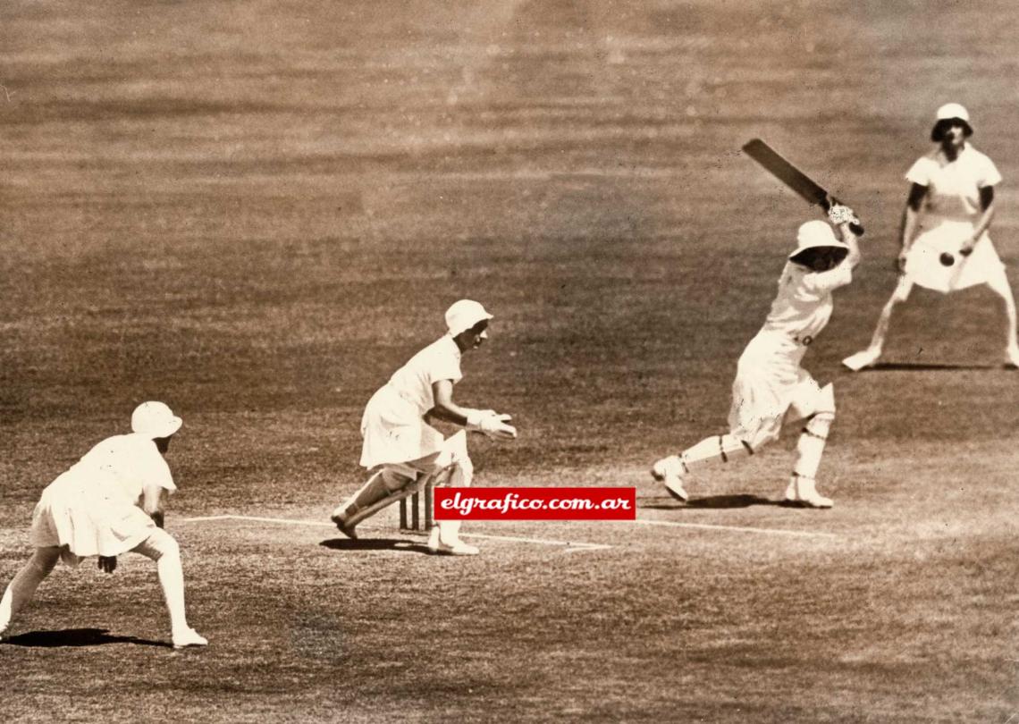 Imagen Cricket.