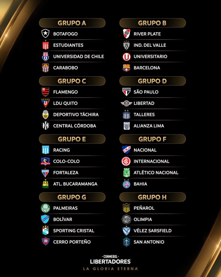 Todos los historiales de la Libertadores 2025 | El Gráfico