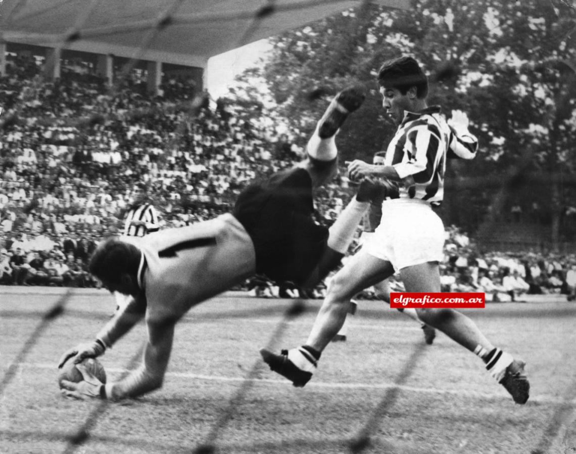 Con la camiseta de Juventus ganó tres Scudettos y dos Copas de Italia.