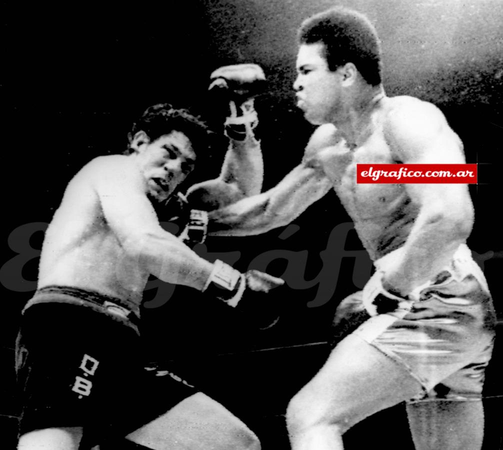 Imagen El punto más alto de su carrera, cuando en diciembre de 1970 enfrentó a Muhammad Alí. Perdió en el último round.