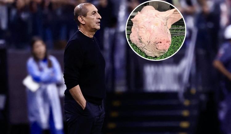 Imagen de Locura en el clásico paulista: tiraron una cabeza de chancho a la cancha