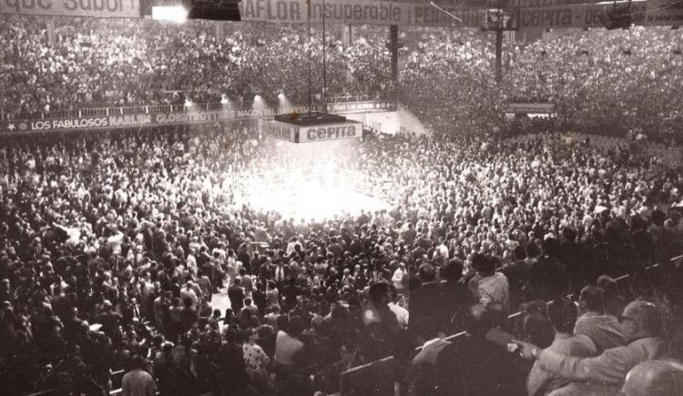 Imagen de Manos enguantadas, la historia del boxeo argentino