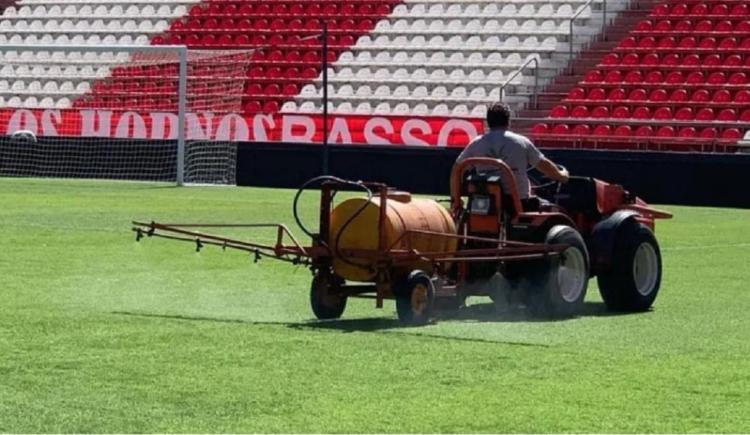 Imagen de No me moleste mosquito: se permitirá el ingreso con repelente a los estadios