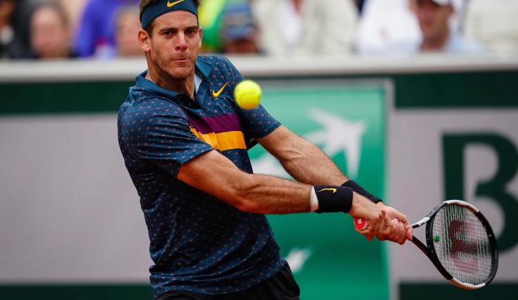 Imagen de DEL POTRO: EL ÚLTIMO INTENTO POR VOLVER A SER