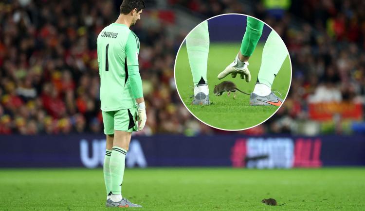 Imagen de Arquero con guantes no caza ratones: insólito momento de Courtois en Gales - Bélgica