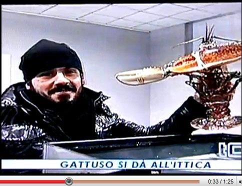 Imagen de El video del día