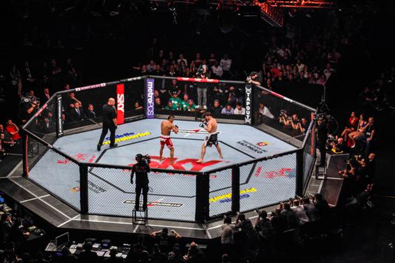Imagen de ¿Vale todo?: UFC