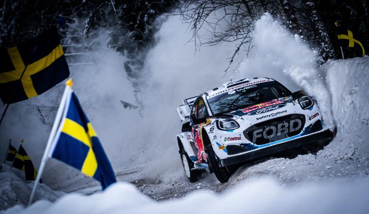 Imagen de El rally de Suecia está en jaque por la presencia de renos