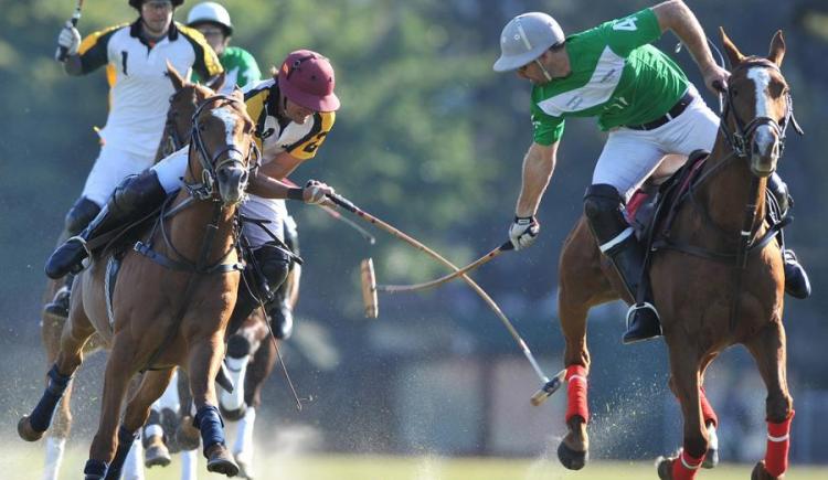 Imagen de El polo de máximo nivel es bienvenido