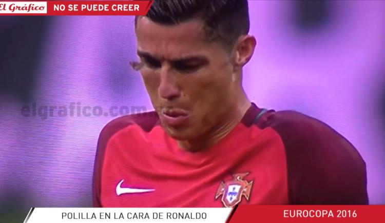 Imagen de La polilla que se enamoró de Ronaldo