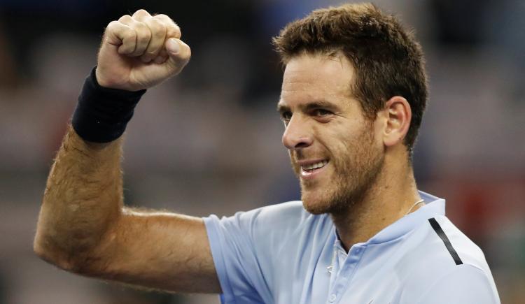 Imagen de Del Potro jugará en diciembre en el Luna Park