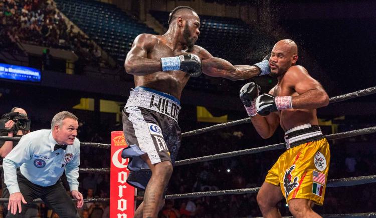 Imagen de Nueva defensa para Wilder