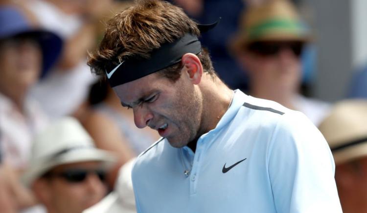 Imagen de Del Potro cayó en la final del ATP de Auckland